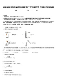 2023-2024学年四川省遂宁市船山区第二中学九年级化学第一学期期末达标检测试题含答案