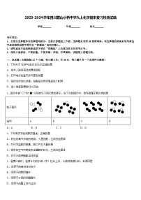 2023-2024学年四川营山小桥中学九上化学期末复习检测试题含答案