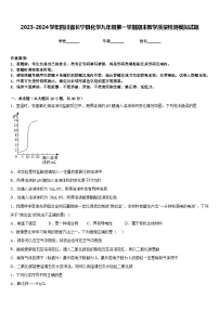 2023-2024学年四川省长宁县化学九年级第一学期期末教学质量检测模拟试题含答案