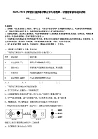 2023-2024学年四川省资中学县化学九年级第一学期期末联考模拟试题含答案