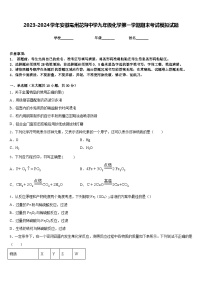 2023-2024学年安徽亳州花沟中学九年级化学第一学期期末考试模拟试题含答案