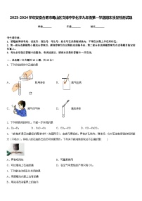 2023-2024学年安徽合肥市蜀山区文博中学化学九年级第一学期期末质量检测试题含答案