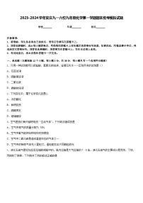 2023-2024学年安庆九一六校九年级化学第一学期期末统考模拟试题含答案