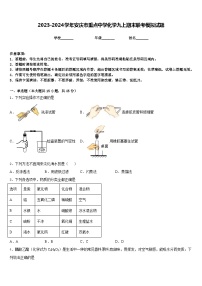 2023-2024学年安庆市重点中学化学九上期末联考模拟试题含答案