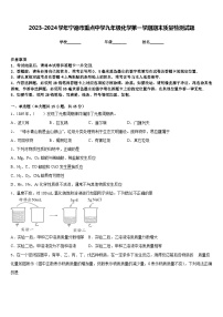 2023-2024学年宁德市重点中学九年级化学第一学期期末质量检测试题含答案