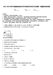 2023-2024学年宁夏回族自治区中学卫市第五中学化学九年级第一学期期末统考试题含答案