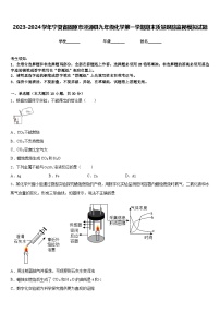 2023-2024学年宁夏省固原市泾源县九年级化学第一学期期末质量跟踪监视模拟试题含答案