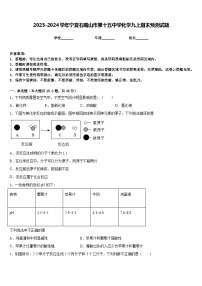 2023-2024学年宁夏石嘴山市第十五中学化学九上期末预测试题含答案