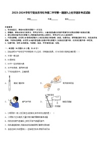 2023-2024学年宁夏吴忠市红寺堡二中学第一期期九上化学期末考试试题含答案