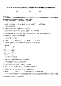 2023-2024学年宁夏吴忠市名校九年级化学第一学期期末复习检测模拟试题含答案