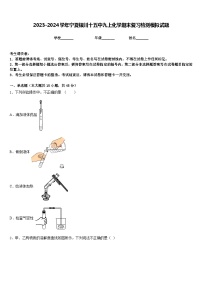 2023-2024学年宁夏银川十五中九上化学期末复习检测模拟试题含答案