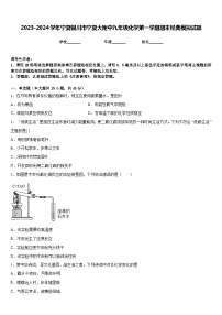 2023-2024学年宁夏银川市宁夏大附中九年级化学第一学期期末经典模拟试题含答案