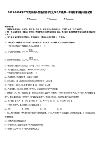 2023-2024学年宁夏银川外国语实验学校化学九年级第一学期期末达标检测试题含答案