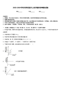 2023-2024学年天津河北区九上化学期末统考模拟试题含答案