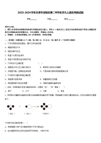 2023-2024学年天津市宝坻区第二中学化学九上期末预测试题含答案