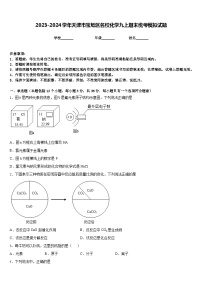 2023-2024学年天津市宝坻区名校化学九上期末统考模拟试题含答案