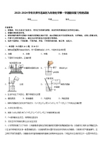 2023-2024学年天津市北辰区九年级化学第一学期期末复习检测试题含答案