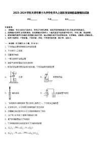 2023-2024学年天津市第十九中学化学九上期末质量跟踪监视模拟试题含答案