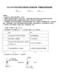 2023-2024学年天津市汉沽区名校九年级化学第一学期期末质量检测试题含答案