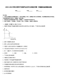 2023-2024学年天津市宁河县芦台五中九年级化学第一学期期末监测模拟试题含答案