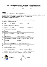 2023-2024学年天津市蓟州区化学九年级第一学期期末统考模拟试题含答案