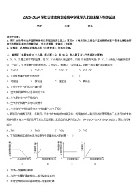 2023-2024学年天津市育华实验中学化学九上期末复习检测试题含答案