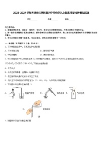 2023-2024学年天津市红桥区复兴中学化学九上期末质量检测模拟试题含答案