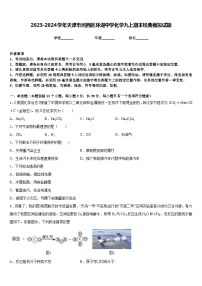 2023-2024学年天津市河西区环湖中学化学九上期末经典模拟试题含答案