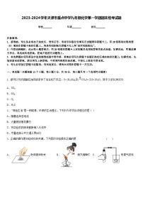 2023-2024学年天津市重点中学九年级化学第一学期期末统考试题含答案