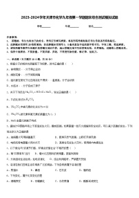 2023-2024学年天津市化学九年级第一学期期末综合测试模拟试题含答案