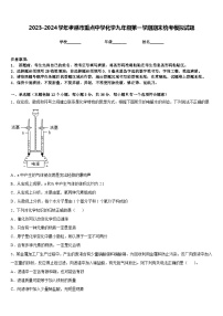 2023-2024学年孝感市重点中学化学九年级第一学期期末统考模拟试题含答案