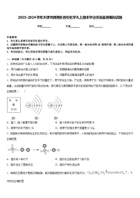 2023-2024学年天津市西青区名校化学九上期末学业质量监测模拟试题含答案