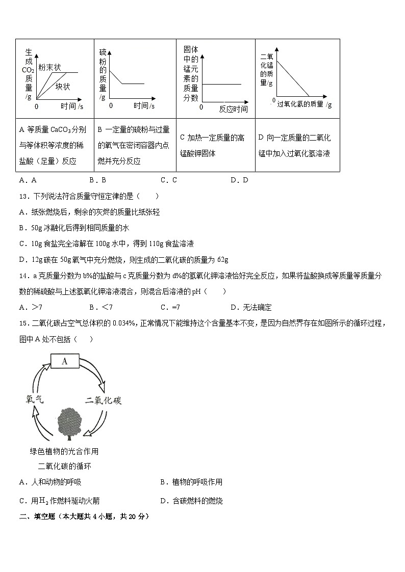 2023-2024学年安徽池州市东至县九上化学期末质量跟踪监视试题含答案第3页