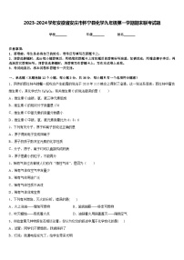 2023-2024学年安徽省安庆市怀宁县化学九年级第一学期期末联考试题含答案