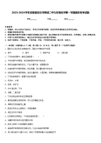 2023-2024学年安徽省安庆市桐城二中九年级化学第一学期期末统考试题含答案