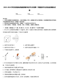 2023-2024学年安徽省亳州涡阳县联考化学九年级第一学期期末学业质量监测模拟试题含答案