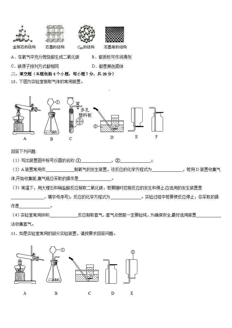 2023-2024学年安徽省亳州涡阳县联考化学九年级第一学期期末学业质量监测模拟试题含答案03