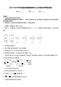 2023-2024学年安徽省亳州涡阳县联考九上化学期末统考模拟试题含答案