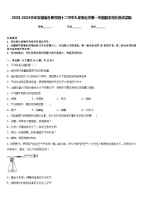 2023-2024学年安徽省合肥市四十二中学九年级化学第一学期期末综合测试试题含答案