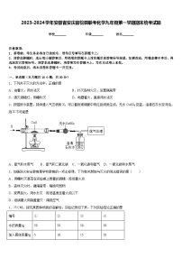 2023-2024学年安徽省安庆宿松县联考化学九年级第一学期期末统考试题含答案