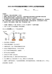 2023-2024学年安徽省合肥市第四十八中学九上化学期末预测试题含答案