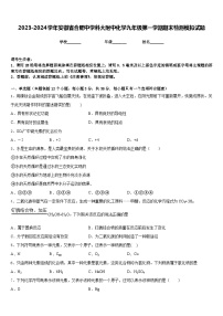 2023-2024学年安徽省合肥中学科大附中化学九年级第一学期期末检测模拟试题含答案