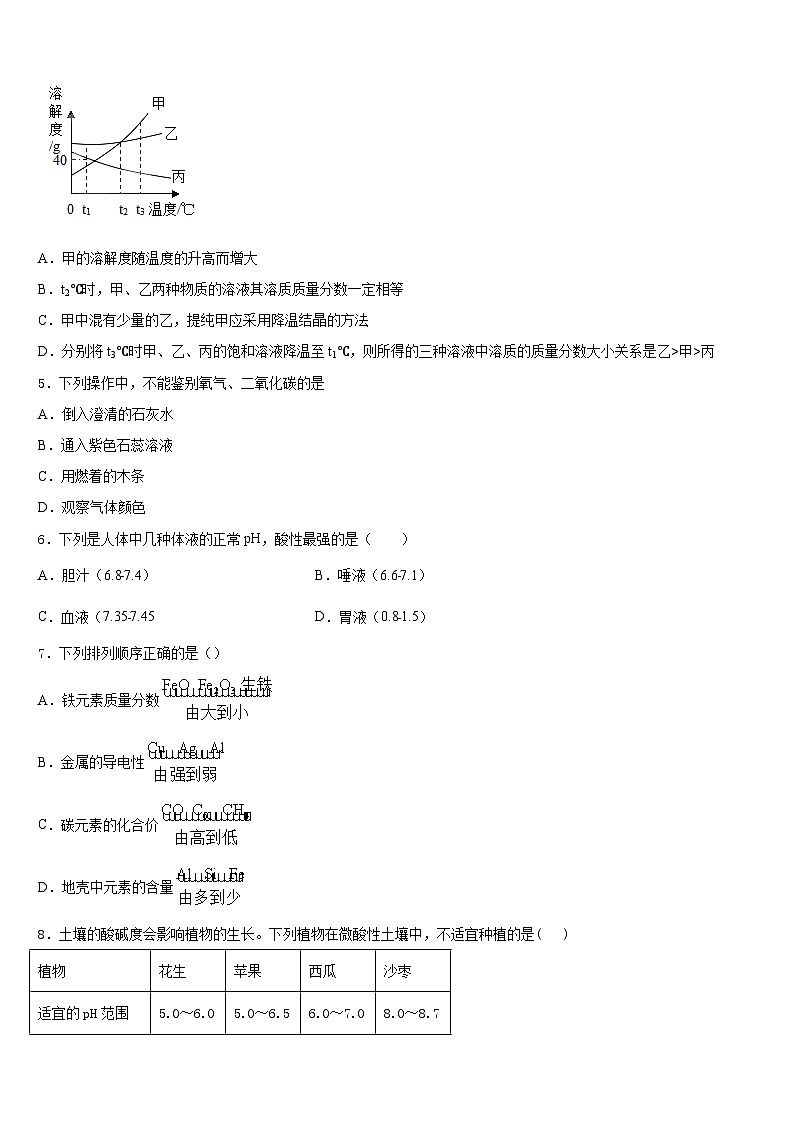 2023-2024学年安徽省养鹿中学化学九年级第一学期期末联考试题含答案第2页