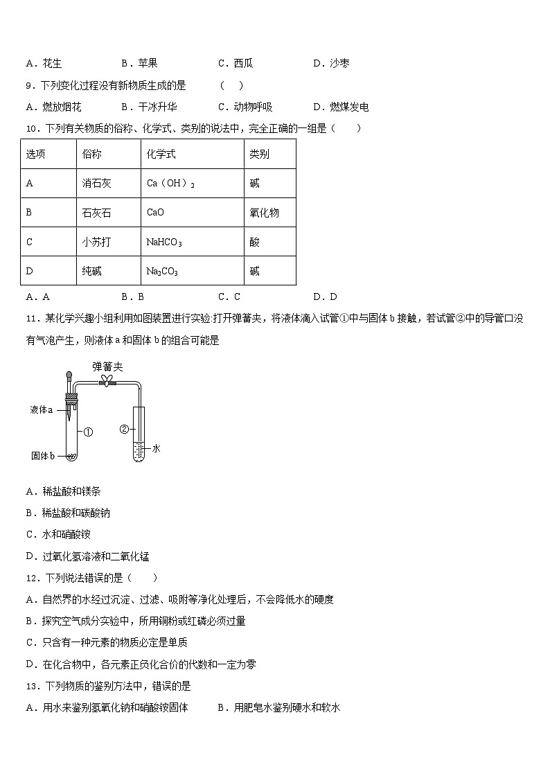 2023-2024学年安徽省养鹿中学化学九年级第一学期期末联考试题含答案第3页