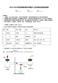 2023-2024学年安徽省合肥市庐阳区九上化学期末达标测试试题含答案