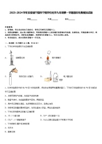 2023-2024学年安徽省宁国市宁阳学校化学九年级第一学期期末经典模拟试题含答案