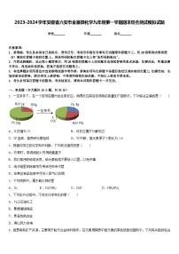 2023-2024学年安徽省六安市金寨县化学九年级第一学期期末综合测试模拟试题含答案