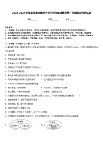 2023-2024学年安徽省合肥四十五中学九年级化学第一学期期末预测试题含答案