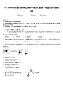 2023-2024学年安徽省合肥市蜀山区琥珀中学化学九年级第一学期期末复习检测模拟试题含答案