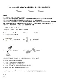 2023-2024学年安徽省六安市皋城中学化学九上期末质量检测试题含答案